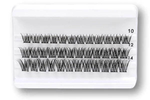 Daily-Lashes - Endless Night