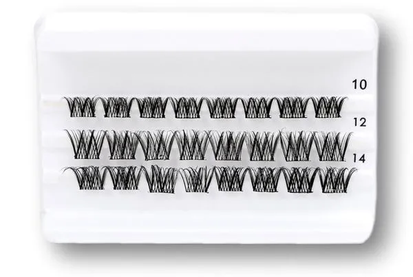 Daily-Lashes - More and More