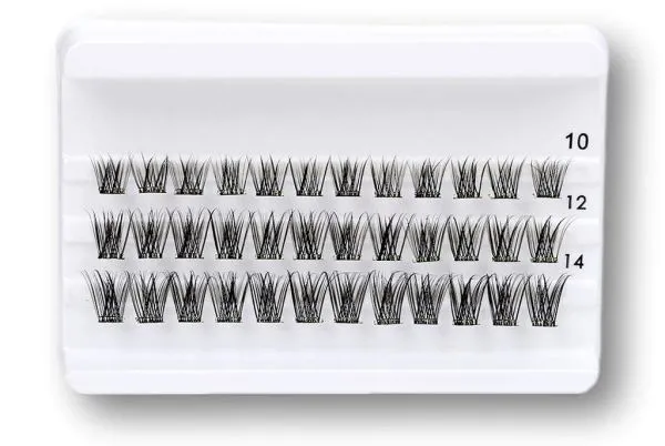 Daily-Lashes - Natural Beauty Daily-Lashes - Natural Beauty